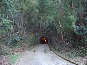 Old tunnel.JPG